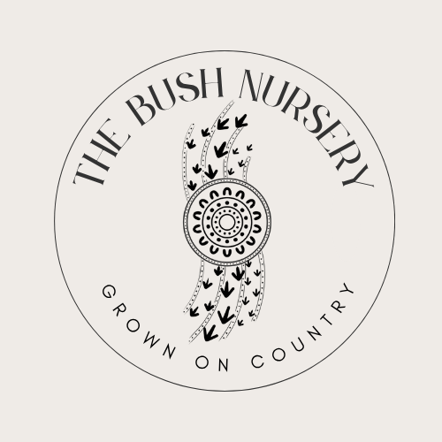 The Bush Nursery - Grown on Country