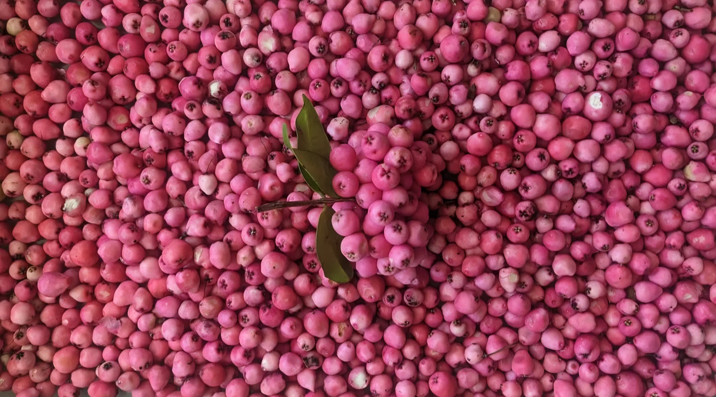 Cultural Gardens Collab - Kitchen Bush Tucker Kit