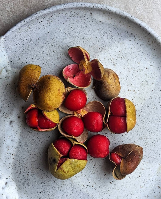 Small Leaved Tamarind